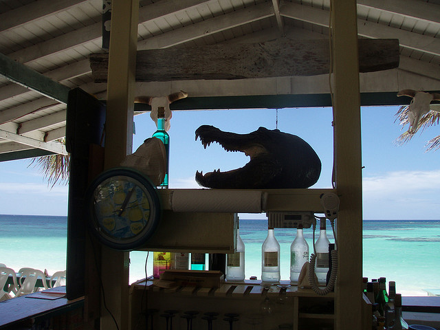 anegada-cowreckbeach