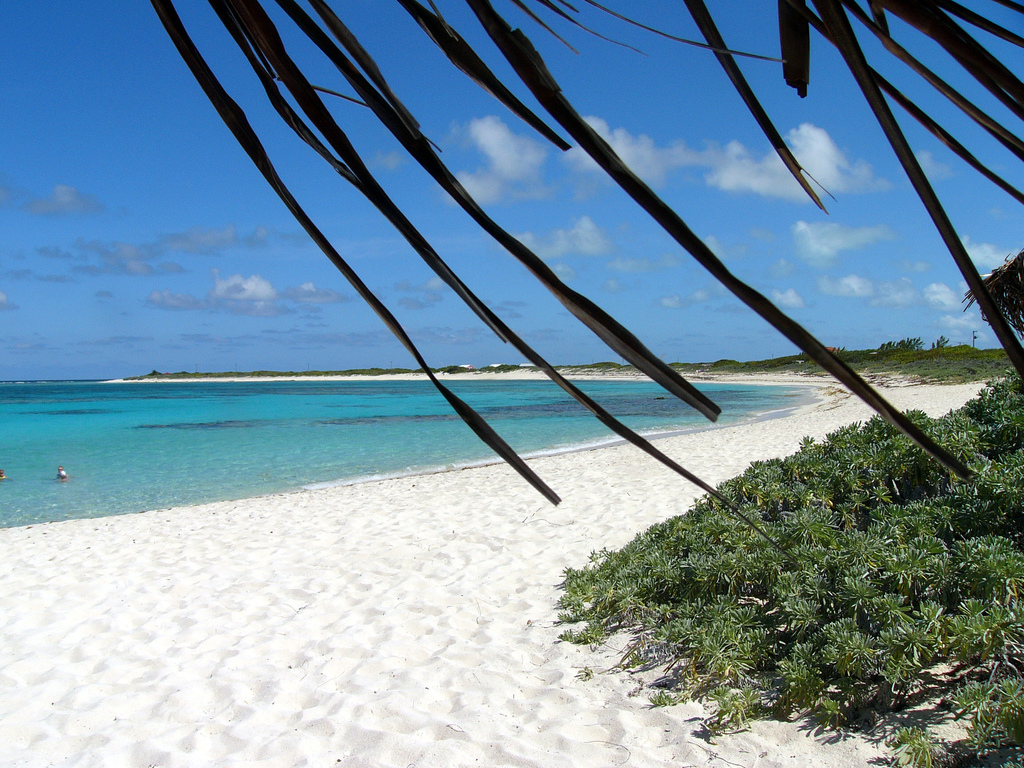 anegada-loblolly-beach